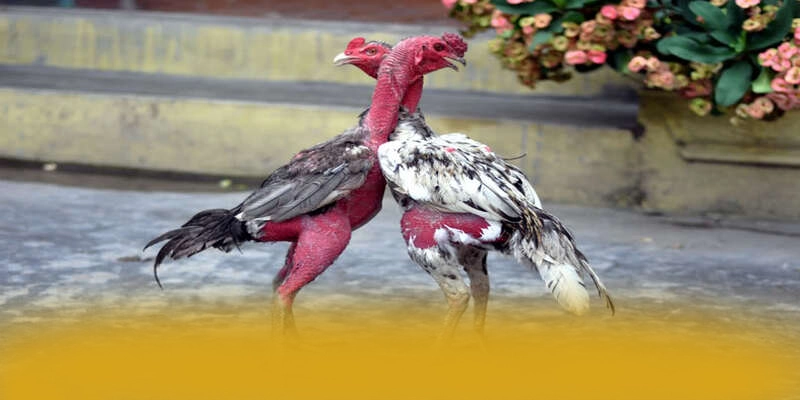 An toàn tài khoản tại BET168